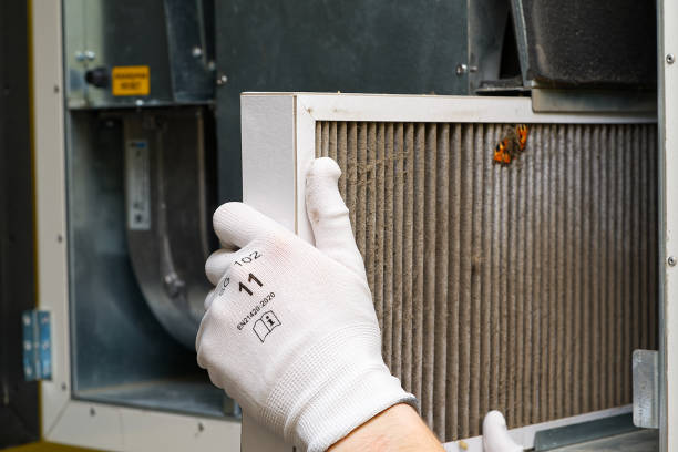 Professional Airduct Cleaning in Williamsburg, VA