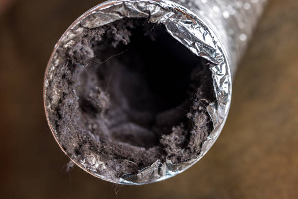 Best General Air Duct Cleaning  in Williamsburg, VA